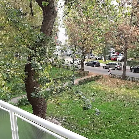 White & Tidy - Szarajevó