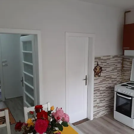 Apartament White & Tidy - *