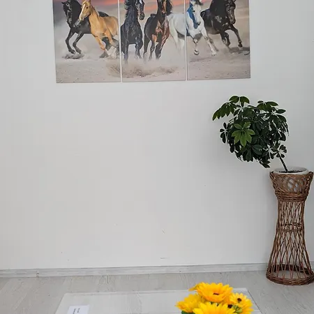 Apartament White & Tidy - *